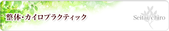 さわやか整体院の整体・カイロプラクティック
